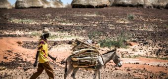 Afrique de l’Ouest/Sahel: réunion de haut niveau sur les risques de famine