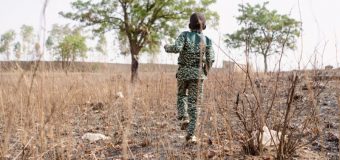 Afrique de l’Ouest et Sahel: plusieurs pays s’engagent à augmenter leur aide alimentaire