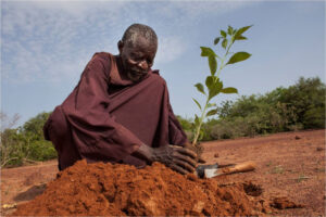 Yacouba Sawadogo, «l’homme qui a arrêté le désert», s’est éteint